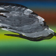 Roger Paulino, Shutter glitch (detail), 2025. Courtesy of Galeria 111