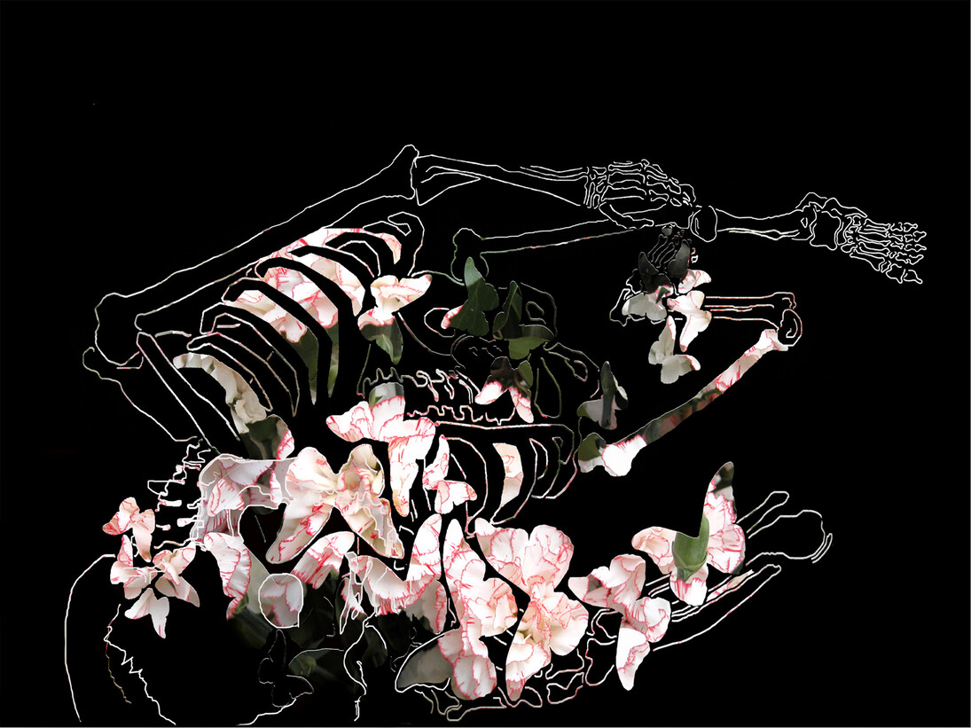 Frédéric Lecomte, Le repeuplement, 2005, Tirage photographique et découpe, 42 x 59 cm © l’artiste