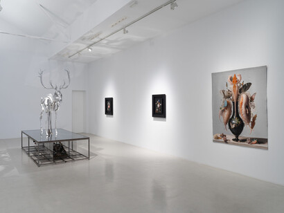 Mat Collishaw, Vivisystem, vista de exhibición. Cortesía de la Galería Hilario Galguera