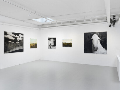 Rainbow Road. Courtesy of Galerie Sébastien Bertrand