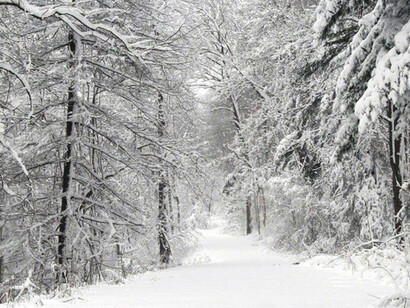 La señora de las nieves, la encontré...