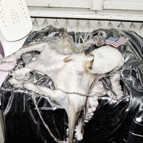 Dido Fontana, Untitled, 2013, C-print, 150 x 100 cm, ed. 12