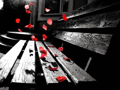 Um banco coberto com pétalas de flores