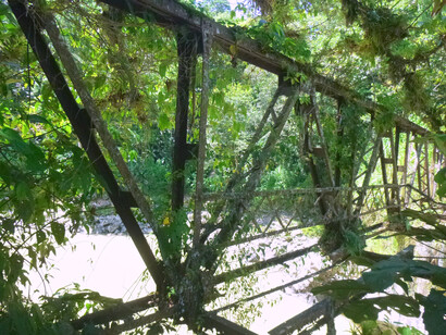 Cercha del viejo puente, invadida por la vegetación. Foto: Luko Hilje