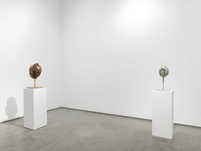 Allison Janae Hamilton, Celestine, exhibition view. Courtesy of Marianne Boesky Gallery