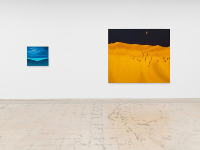 Sarah Lee, Quiet days, exhibition view. Courtesy of Anat Ebgi