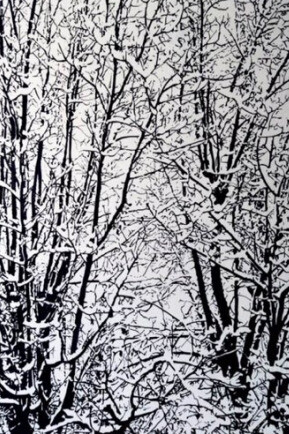 Fahrad Moshiri. Courtesy of Perrotin