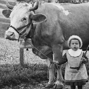 Little girl holding a cow by a halter. Photograph by Johann Schär, Gondiswil BE.
© Staatsarchiv des Kantons Bern