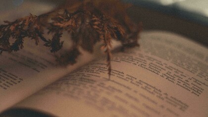 La literatura es desborde vital, una forma de existencia intensificada, donde la palabra se vuelve grito, revelación o consuelo frente a lo innombrable, lo absurdo y lo inmenso de la experiencia humana