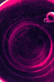 Dynamic and fluid evolution of correlating synergies in a quantum state