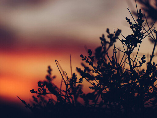 El bienestar llegó cuando aprendí a soltar lo que me estancaba, a crear rutinas alineadas con lo que realmente importa y a priorizar los vínculos que nutren mi alma