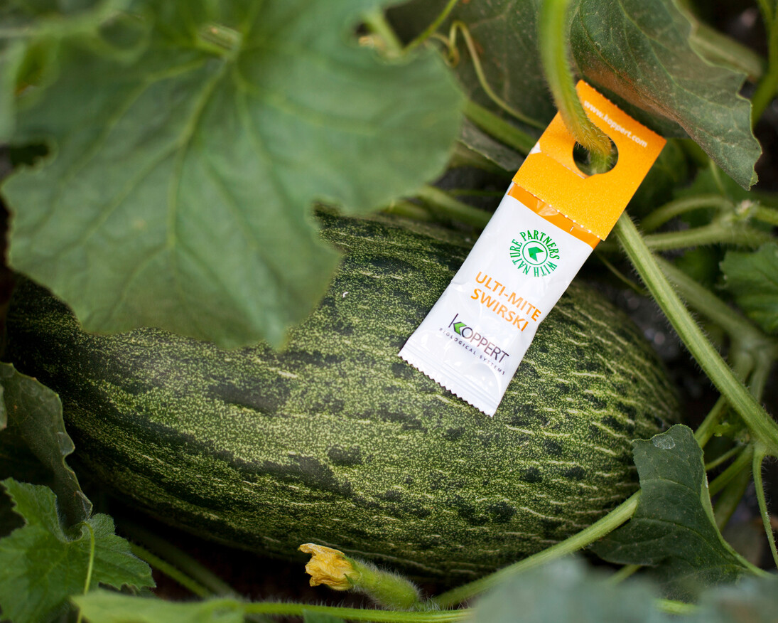 Fruit Logistica 2018. Courtesy of Berlin ExpoCenter City and City Cube