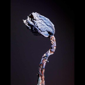 Loading… Works from the Foam Collection. Courtesy of Foam