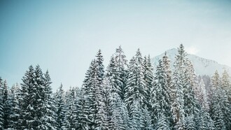  En estas tierras permanece la huella de Dios que sembró  un reguero de luz y de amor a su paso
