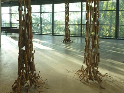 Antti Laitinen, Chiming forest, exhibition view. Courtesy of EMMA