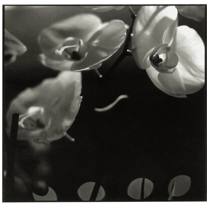 Immagini in bianco e nero all'interno del libro "Twenty weights,...please" di Sonia Marin a cura di Boîte Edizioni