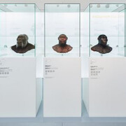 Mammoth & Sabre-Toothed Tiger. Courtesy of Naturhistorisches Museum Basel