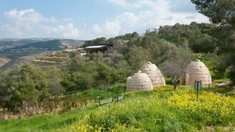 The breathtaking view of one of the natural gardens in Qasayel Ma'an in Jordan