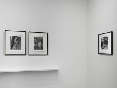Mao Ishikawa, Rogue, exhibition view. Courtesy of Alison Bradley Projects