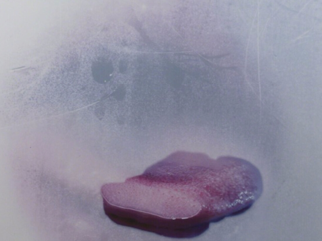 Spray On, Exhibition view. Courtesy of Carolina Nitsch