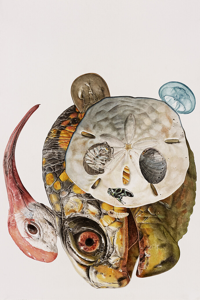 Alfred Steiner, Panda, 2014, Watercolor on paper, 30 x 22 inches