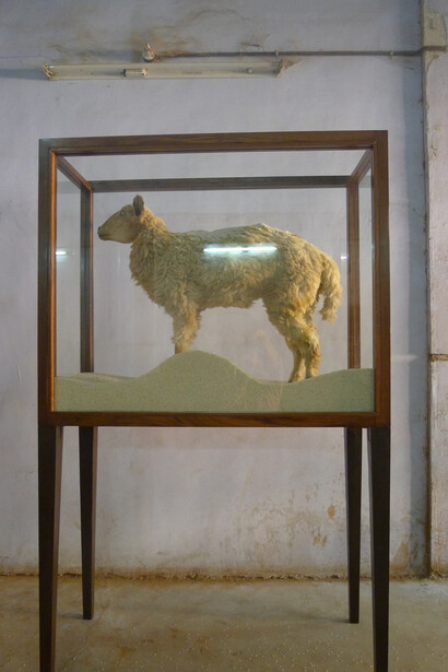 Sudarshan Shetty, Untitled, 2015, Mouton naturalisé, riz, vitrine verre et bois, 195 x 122 x 51 cm / 77 x 48 x 20 in., Courtesy of the artist, Galerie Daniel Templon Brussels and Paris