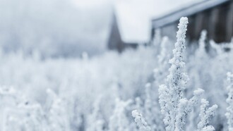 Blanca Finlandia