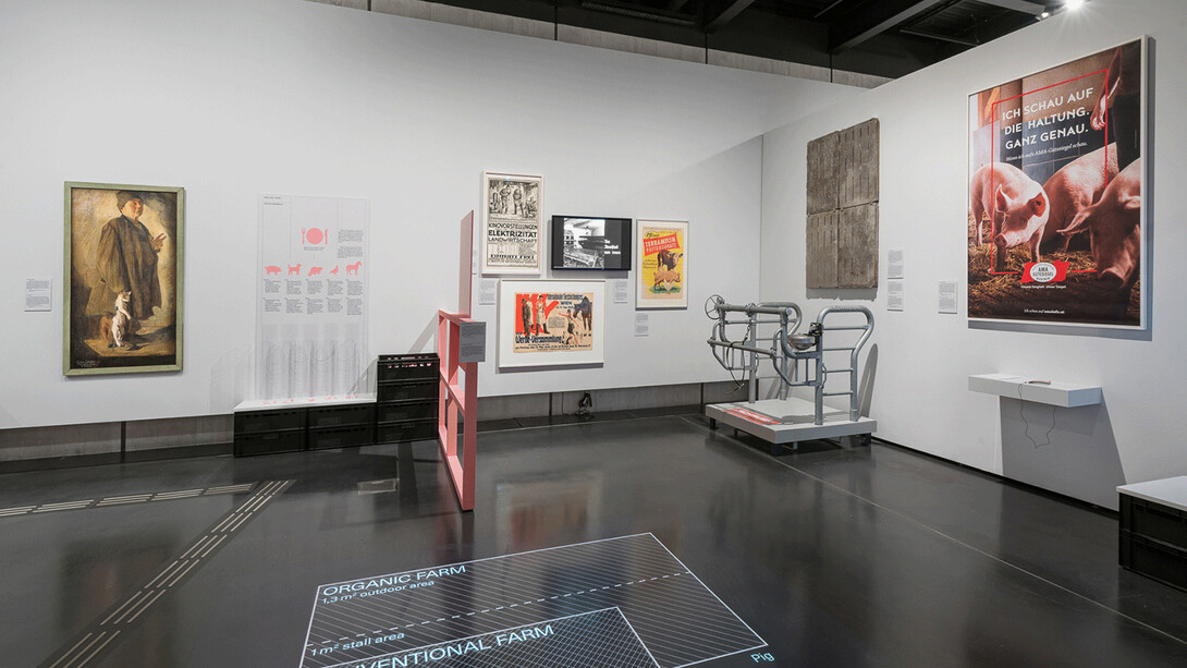 Fleisch, ausstellungsansicht. Mit freundlicher genehmigung des Musa Museums