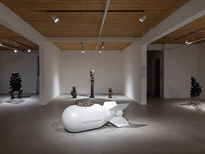 Brandon Vickerd, Phantom limb, exhibition view. Courtesy of Art Mûr