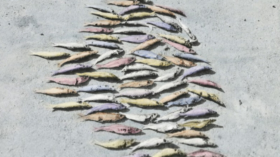 Vasantha Yogananthan. Courtesy of The Photographers' Gallery