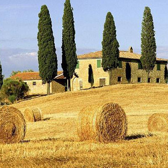 Sana. Courtesy of BolognaFiere