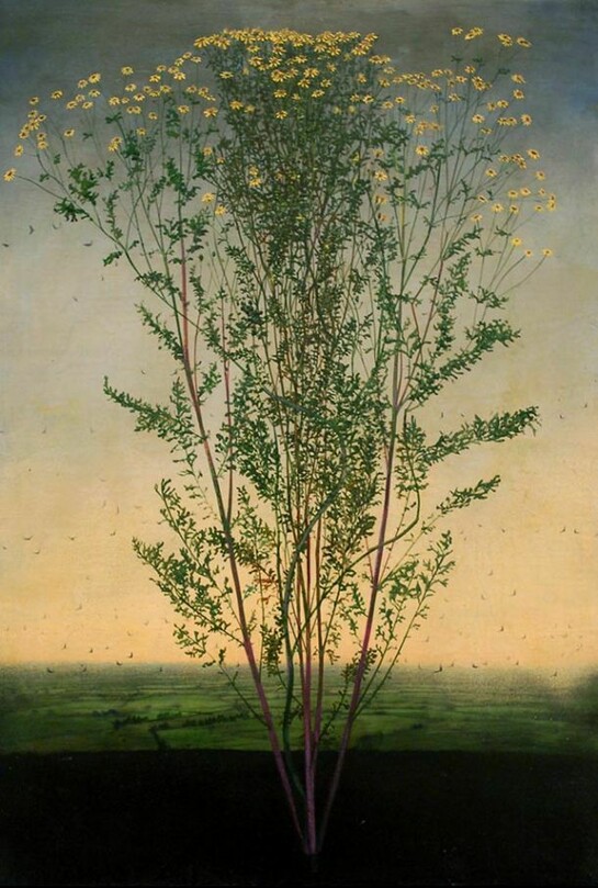 Michael Canning, Cosmogeny