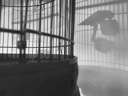 Dans quelle prison es-tu ? Deviens le ciel. Prends une hache pour écraser le mur de la prison. Évade-toi