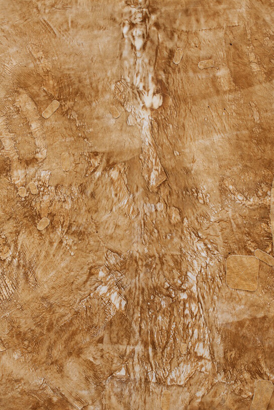 Etienne Chambaud, Contre Dépouille, 2012, Zebra hide on canvas, 115 x 110 x 2,5 cm, Courtesy of the artist