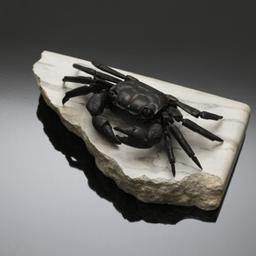 Fuyuki Maehara, Gallery Kogure, Tokyo