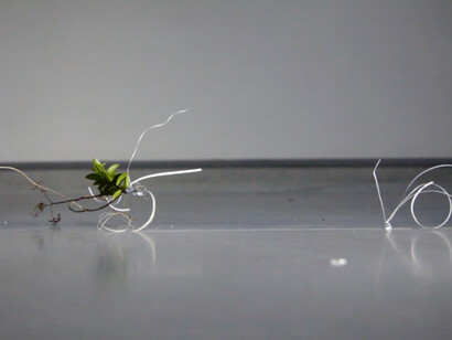 John Mc, Journey to Recovery, 2016 © the artist, Courtesy Bethlem Gallery