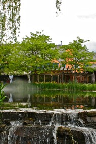 A tea garden with a waterfall nearby