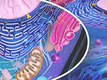 Explore an abstract depiction of cellular structures, including mitochondria, in stunning 3D detail