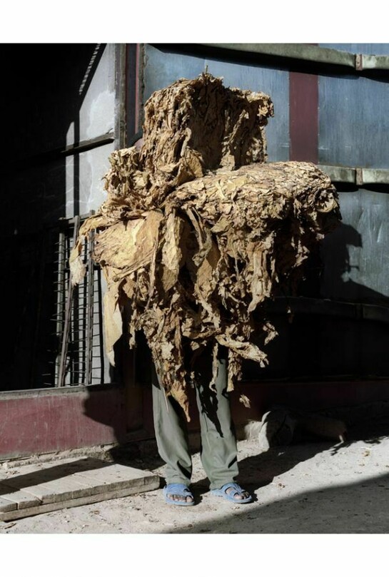 Jackie Nickerson, Sililo from the series Terrain, 2013, Courtesy of Jackie Nickerson and Brancolini Grimaldi