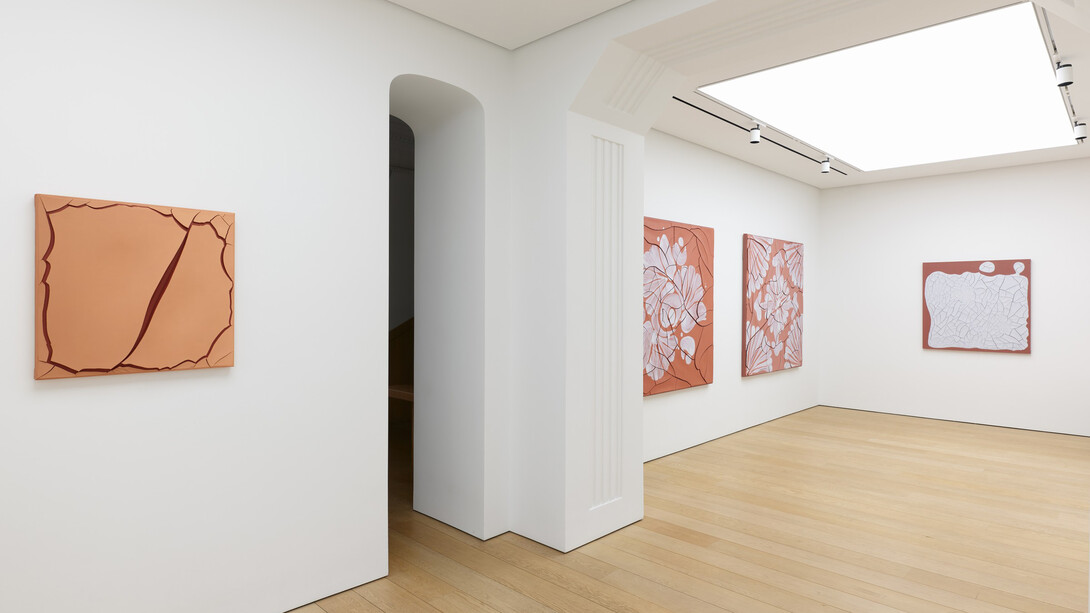 Adriana Varejão, Histórias moldadas, exhibition view. Courtesy of Gagosian Gallery
