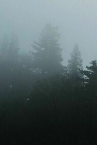 Copertina di The High Country