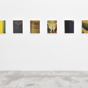 Thomas Fougeirol. Courtesy of Praz-Delavallade