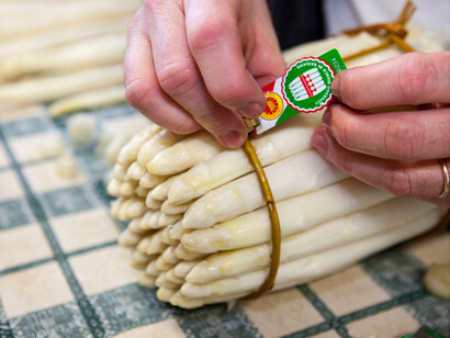 Il marchio distintivo degli asparagi bianchi del consorzio di produzione con numero progressivo