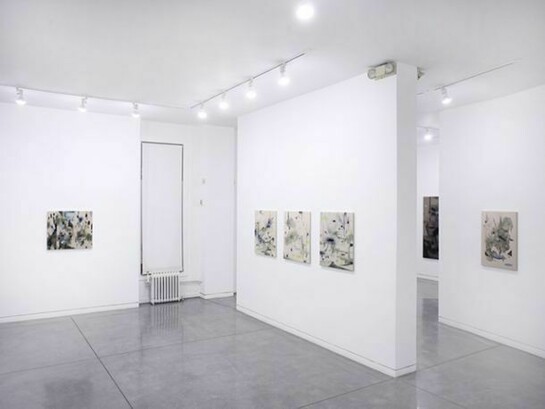 Shinpei Kusanagi, so far so close, Installation views