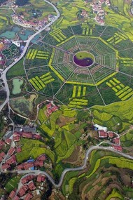 A bird's eye view of Eight Trigrams garden