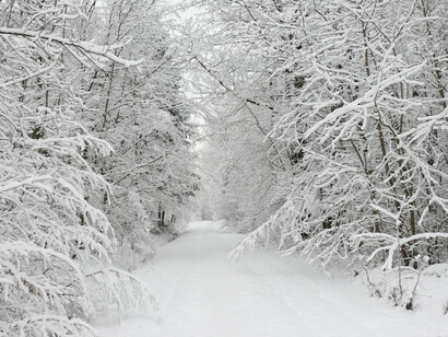 Ven a verme, un, dos, tres...