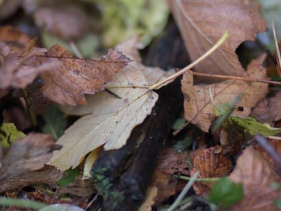 Setting free, ph. M. Stillwater