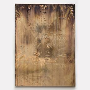 Michael Joo. Courtesy of Galeria Carles Taché