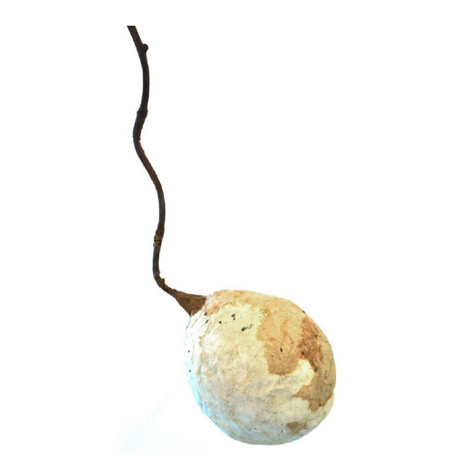 Akiko Fujimoto, Frutto, 2009, collage di carta Uda e rami, 150 x 15 x 22 cm, Esposizione: Vies et voix du papier, à la fin d’été, Parigi, Espace Culturel Bertin Poirée, 2011