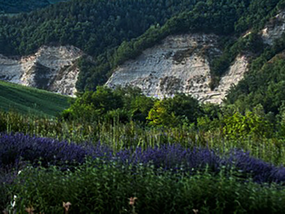 Giardino Botanico di Valbonella